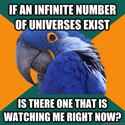 IF AN INFINITE NUMBER OF UNIVERSES EXIST IS THERE ONE THAT IS WATCHING ME RIGHT NOW?  Paranoid Parrot