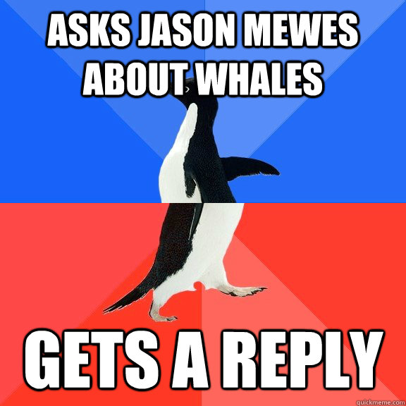 asks jason mewes about whales gets a reply  Socially Awkward Awesome Penguin