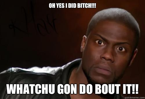 Oh yes i did bitch!!! Whatchu gon do bout it!!  Kevin Hart