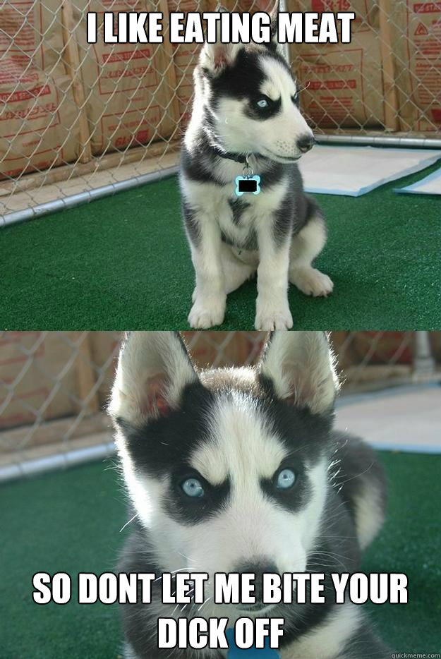 i like eating meat so dont let me bite your dick off  Insanity puppy