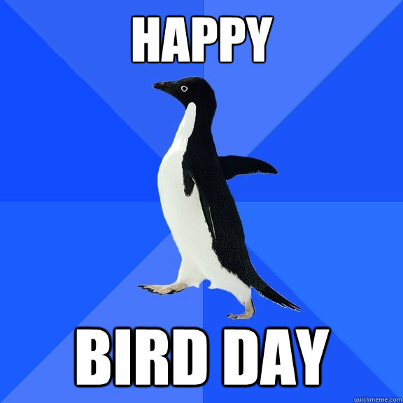 Happy Bird day  Socially Awkward Penguin
