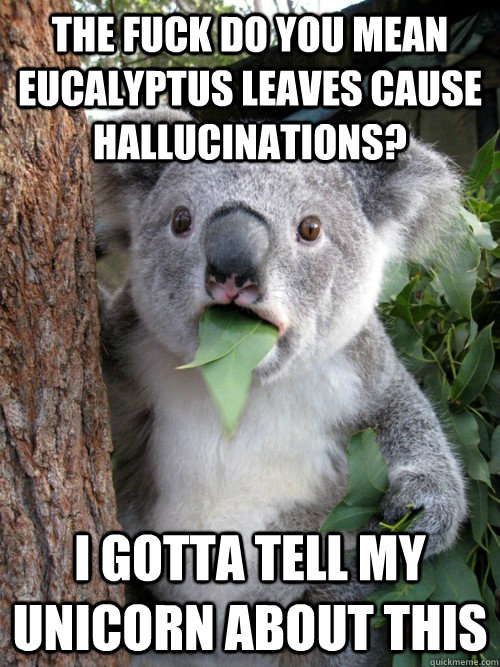 the fuck do you mean eucalyptus leaves cause hallucinations? i gotta tell my unicorn about this - the fuck do you mean eucalyptus leaves cause hallucinations? i gotta tell my unicorn about this  koala bear