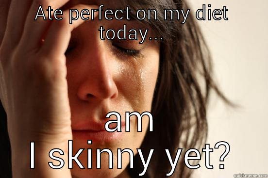 ATE PERFECT ON MY DIET TODAY... AM I SKINNY YET? First World Problems