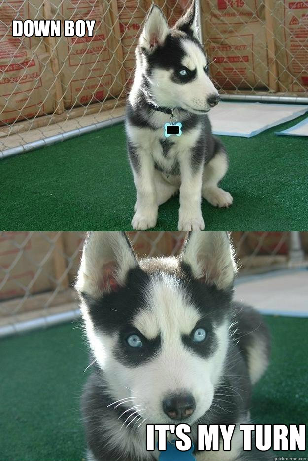 Down boy it's my turn  Insanity puppy