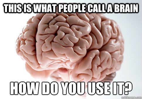 This is what people call a brain How do you use it?  Scumbag Brain