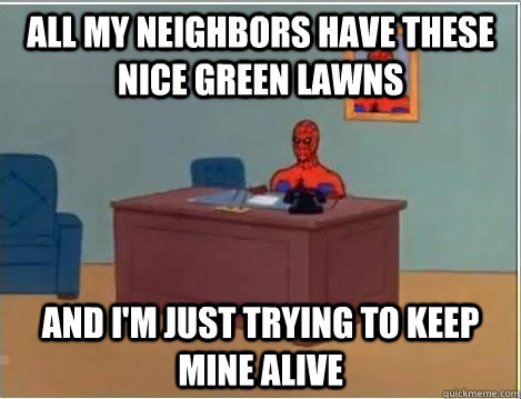 All my neighbors have these nice green lawns and i'm just trying to keep mine alive  Spiderman Desk