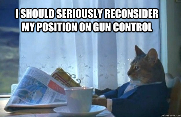 I should seriously reconsider my position on gun control - I should seriously reconsider my position on gun control  Sophisticated Cat