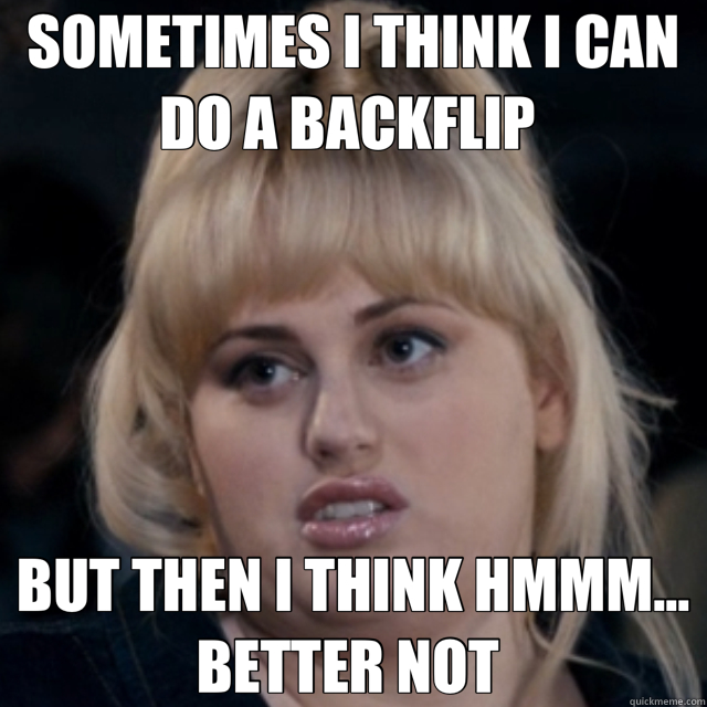 SOMETIMES I THINK I CAN DO A BACKFLIP  BUT THEN I THINK HMMM... BETTER NOT  - SOMETIMES I THINK I CAN DO A BACKFLIP  BUT THEN I THINK HMMM... BETTER NOT   Misc