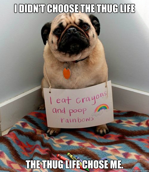 I didn't choose the thug life The thug life chose me. - I didn't choose the thug life The thug life chose me.  PugLife