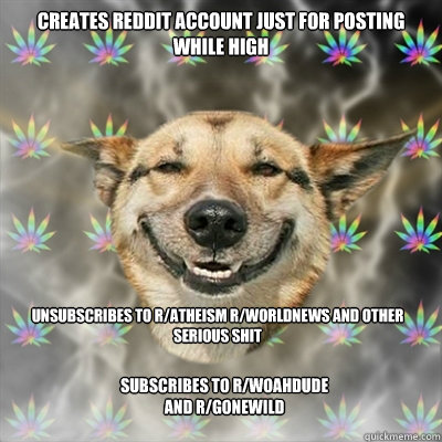Creates reddit account just for posting while high Unsubscribes to r/atheism r/worldnews and other serious shit 
 Subscribes to r/woahdude and r/gonewild - Creates reddit account just for posting while high Unsubscribes to r/atheism r/worldnews and other serious shit 
 Subscribes to r/woahdude and r/gonewild  Stoner Dog
