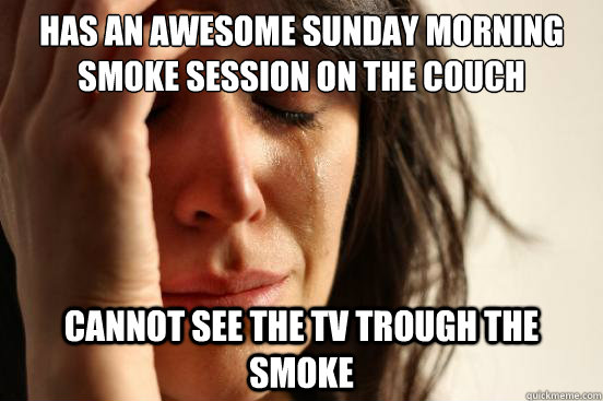 Has an awesome sunday morning smoke session on the couch cannot see the TV trough the smoke  First World Problems