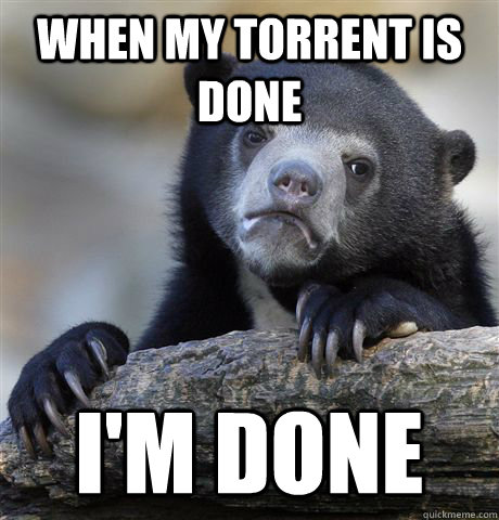 When my torrent is done i'm done  Confession Bear