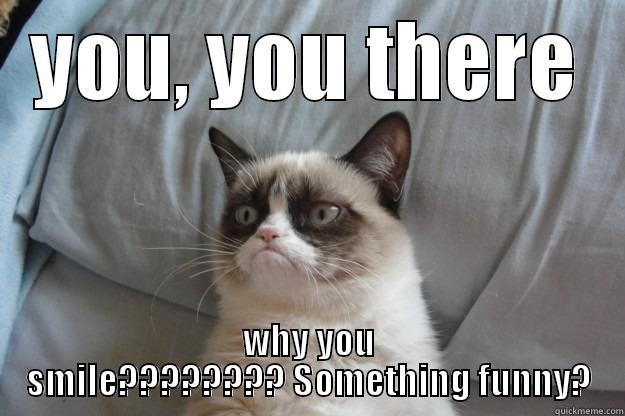 YOU, YOU THERE WHY YOU SMILE???????? SOMETHING FUNNY? Grumpy Cat