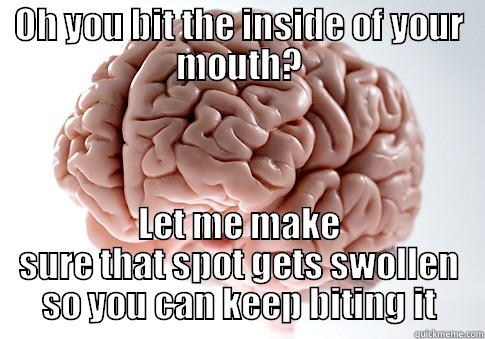 OH YOU BIT THE INSIDE OF YOUR MOUTH? LET ME MAKE SURE THAT SPOT GETS SWOLLEN SO YOU CAN KEEP BITING IT Scumbag Brain