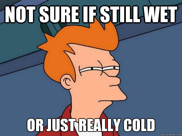 NOT SURE IF STILL WET or just really cold  Not sure Fry
