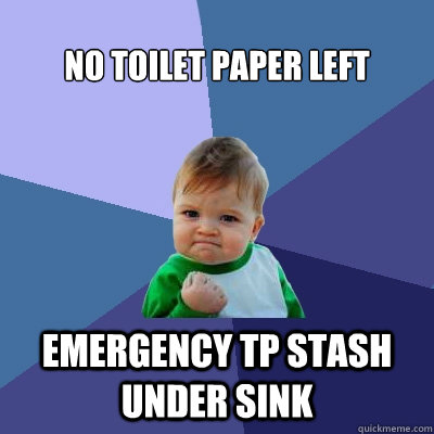 No toilet paper left  emergency TP stash under sink - No toilet paper left  emergency TP stash under sink  Success Kid