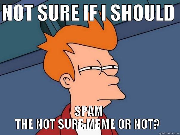 NOT SURE IF I SHOULD  SPAM THE NOT SURE MEME OR NOT?  Futurama Fry