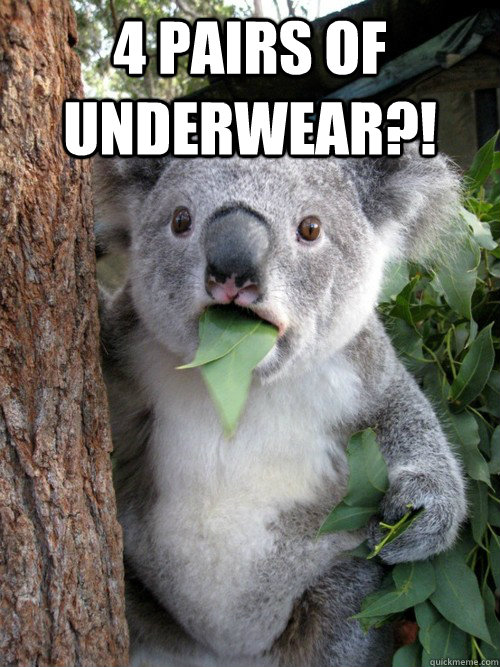 4 Pairs of underwear?!  - 4 Pairs of underwear?!   Confounded Koala