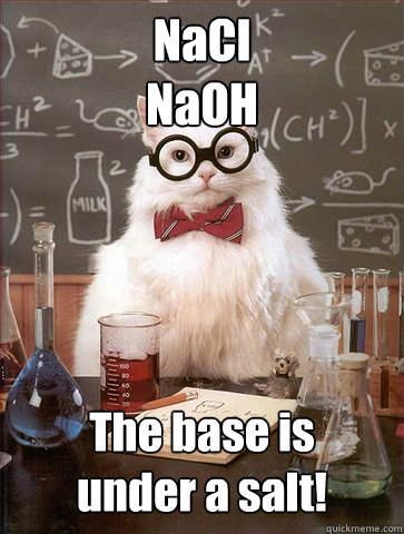 NaCl
NaOH The base is
under a salt!  Science Cat