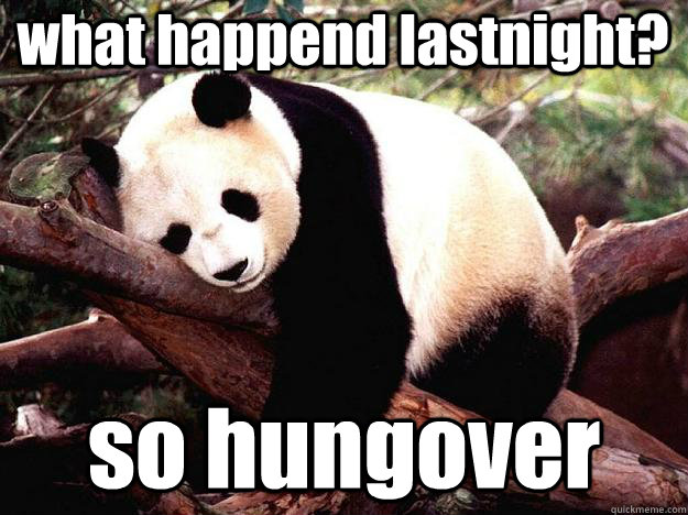 what happend lastnight? so hungover   Procrastination Panda