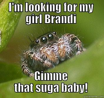 I'M LOOKING FOR MY GIRL BRANDI GIMME THAT SUGA BABY! Misunderstood Spider