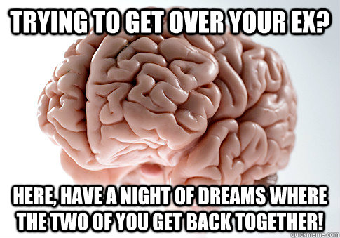 Trying to get over your ex? Here, have a night of dreams where the two of you get back together! - Trying to get over your ex? Here, have a night of dreams where the two of you get back together!  Scumbag Brain