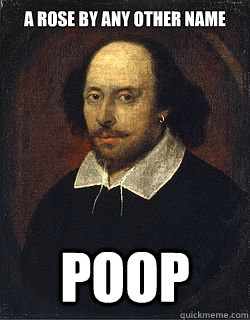 A rose by any other name Poop  Shakespeare Twin