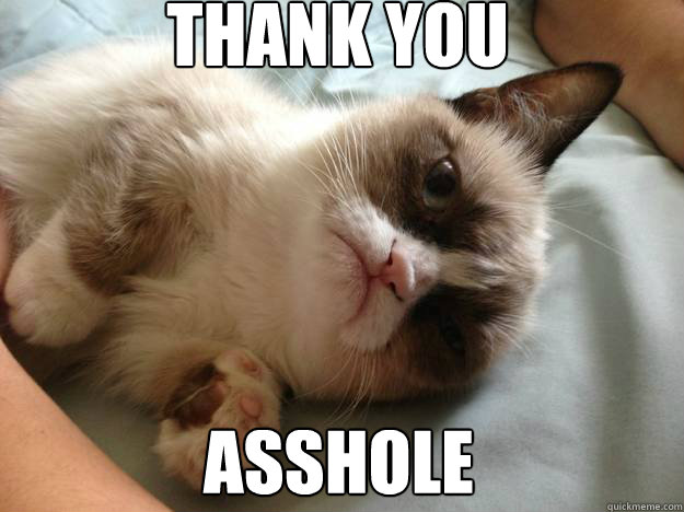 thank you asshole  - thank you asshole   Confused Grumpy Cat