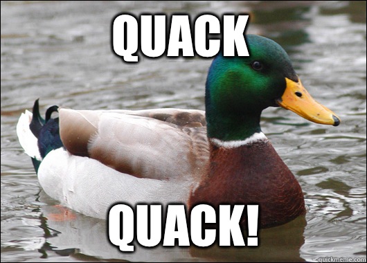 Quack QUACK!  Actual Advice Mallard