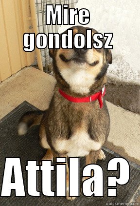 MIRE GONDOLSZ ATTILA? Good Dog Greg
