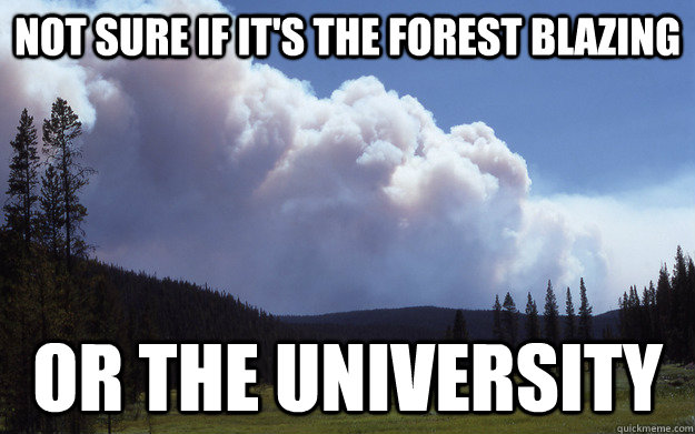 Not sure if it's the forest blazing Or the university  