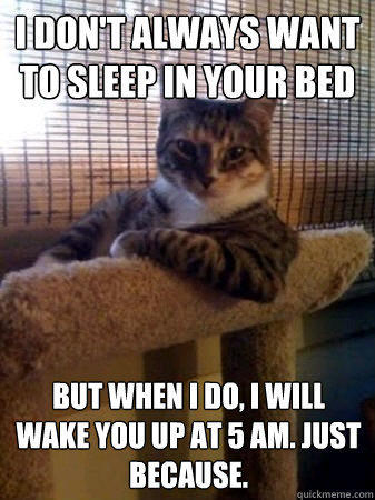 I don't always want to sleep in your bed but when I do, i will wake you up at 5 AM. just because.  