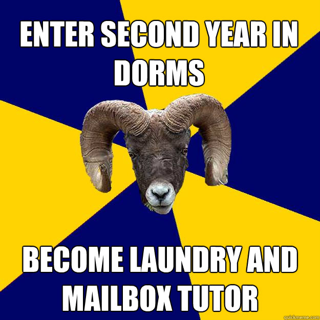 Enter second year in dorms become laundry and mailbox tutor  Suffolk Kid Ram