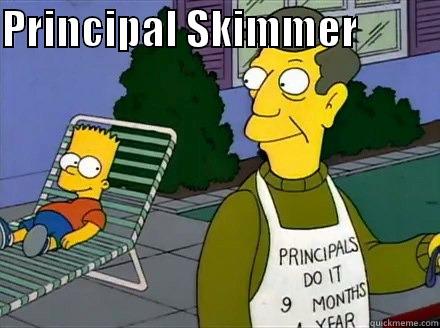 PRINCIPAL SKIMMER            Misc