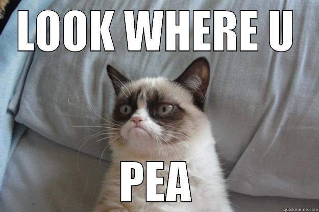 LOOK WHERE U PEA Grumpy Cat