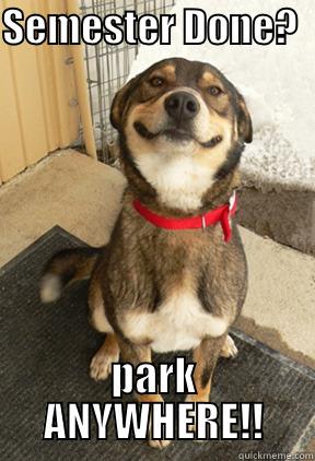 University Staff say.. - SEMESTER DONE?    PARK ANYWHERE!! Good Dog Greg