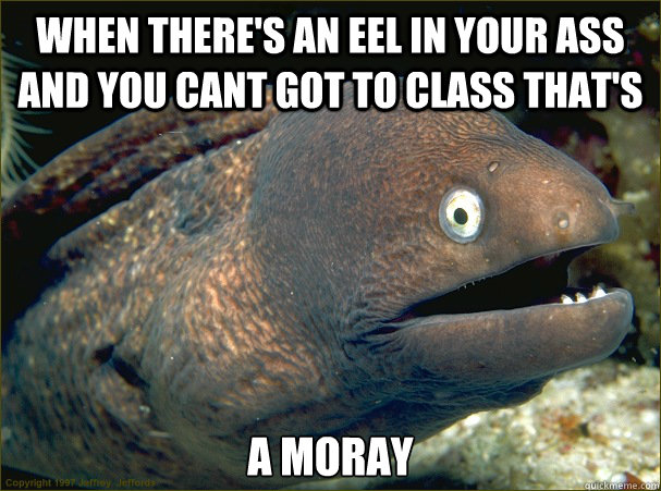 When there's an eel in your ass and you cant got to class that's A Moray  Bad Joke Eel