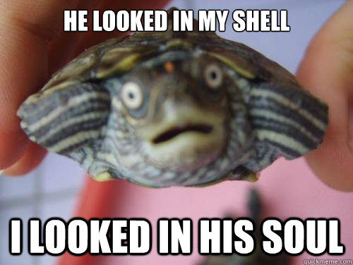 He looked in my shell I looked in his soul  Starry eyed Turtle