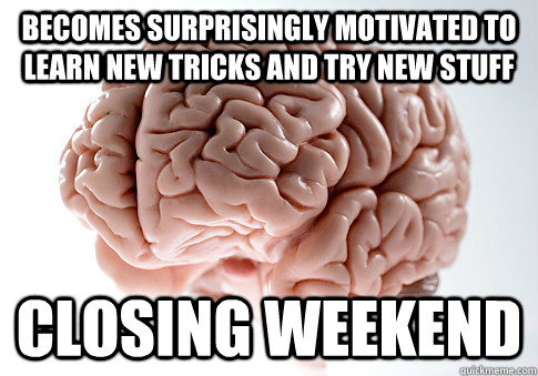 Becomes surprisingly motivated to learn new tricks and try new stuff CLOSING WEEKEND  ScumbagBrain