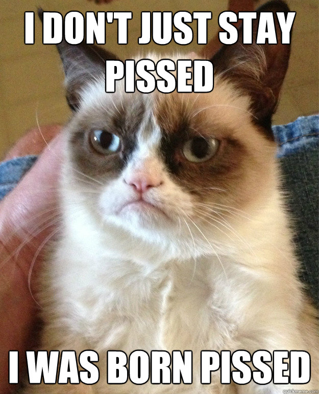 i don't just Stay pissed i was born pissed  Grumpy Cat