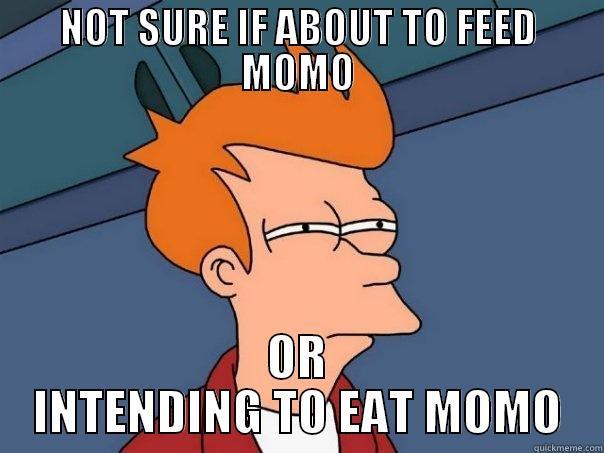NOT SURE IF ABOUT TO FEED MOMO OR INTENDING TO EAT MOMO Futurama Fry
