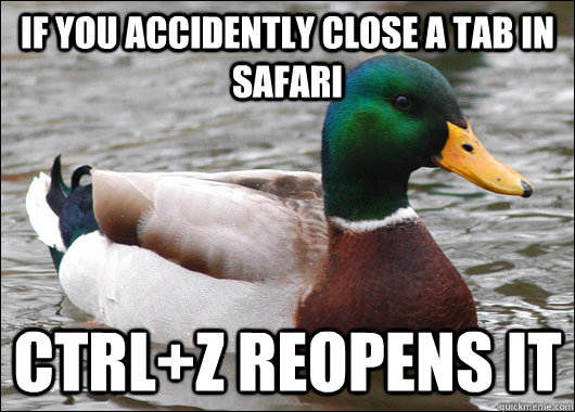 If you accidently close a tab in safari CTRL+Z reopens it  Actual Advice Mallard