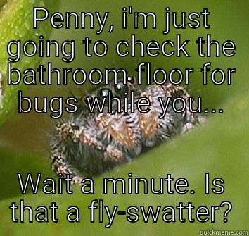 PENNY, I'M JUST GOING TO CHECK THE BATHROOM FLOOR FOR BUGS WHILE YOU... WAIT A MINUTE. IS THAT A FLY-SWATTER? Misunderstood Spider