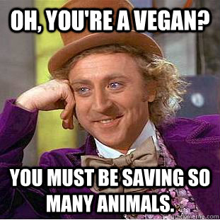 Oh, you're a vegan? You must be saving so many animals.   Condescending Wonka