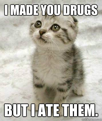 I made you drugs But I ate them.  Sad cat