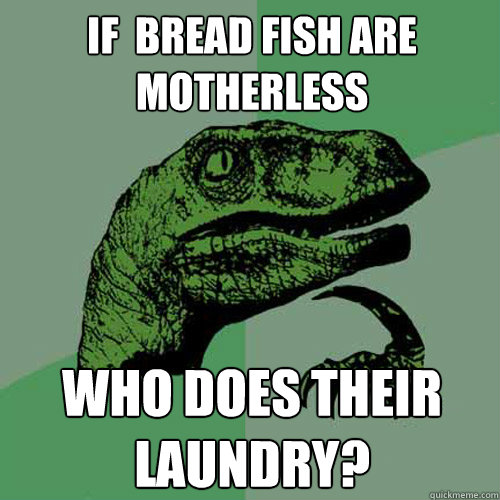 if  bread fish are motherless who does their laundry? - if  bread fish are motherless who does their laundry?  Philosoraptor
