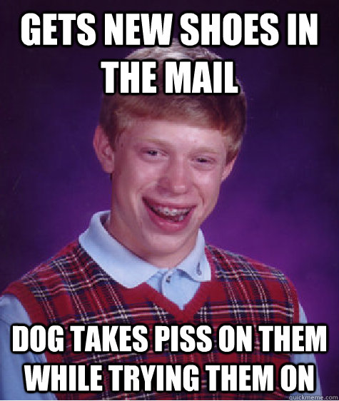 Gets new shoes in the mail dog takes piss on them while trying them on - Gets new shoes in the mail dog takes piss on them while trying them on  Bad Luck Brian
