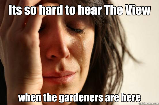 Its so hard to hear The View when the gardeners are here  First World Problems