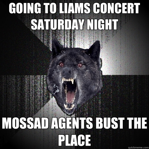 GOING TO LIAMS CONCERT SATURDAY NIGHT MOSSAD AGENTS BUST THE PLACE  Insanity Wolf