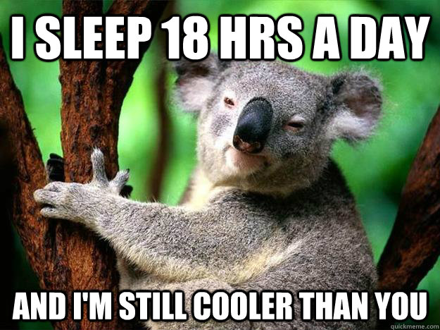 I sleep 18 hrs a day And I'm still cooler than you - I sleep 18 hrs a day And I'm still cooler than you  Koala